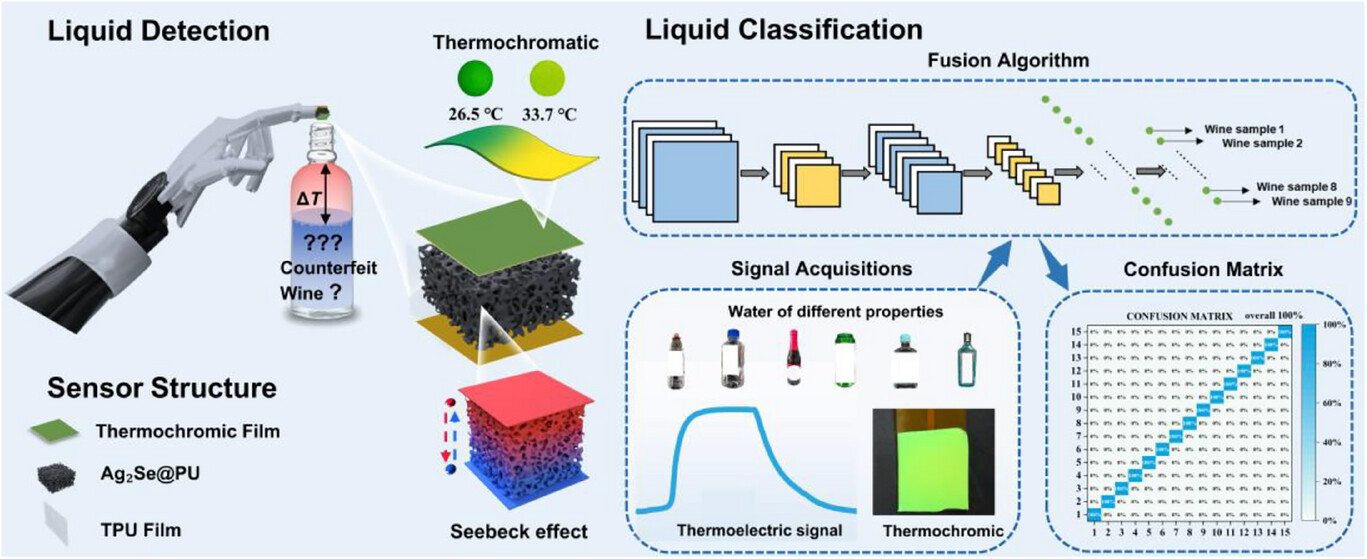 adfm71566-fig-0001-m.jpg adfm71566-fig-0001-m.jpg